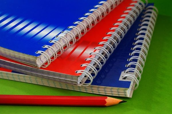 Congé parental d'éducation : droits et aides pour travailleurs indépendants